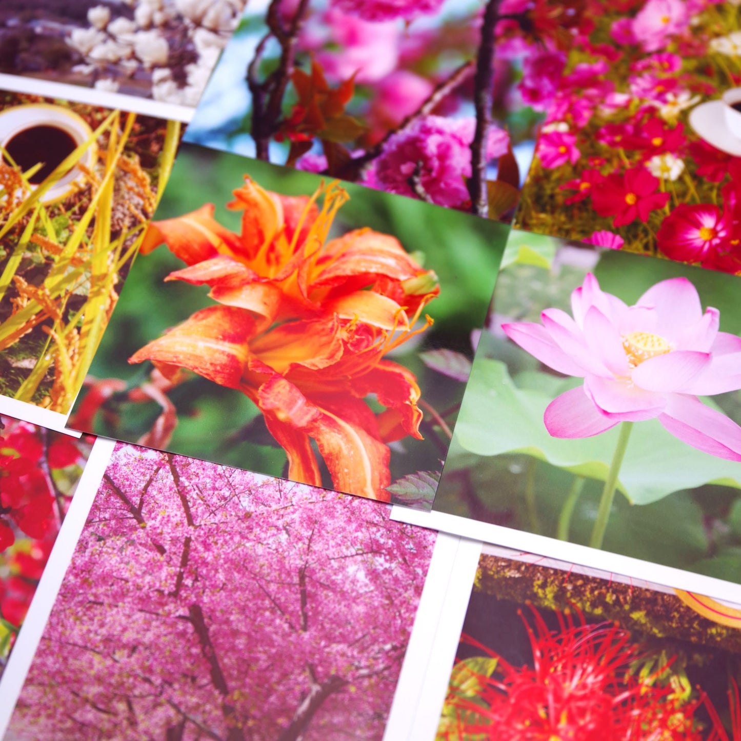 【ギフトセット】ドリップバッグ十個入　トブトリノ贈り物