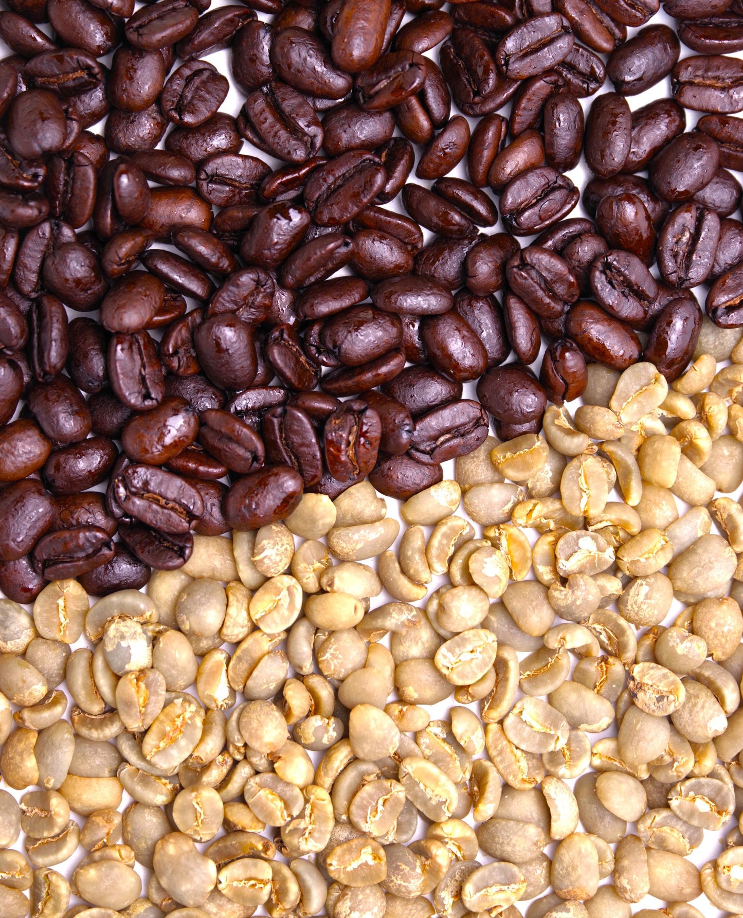 【量り売り】マンデリン深煎　一〇〇グラム