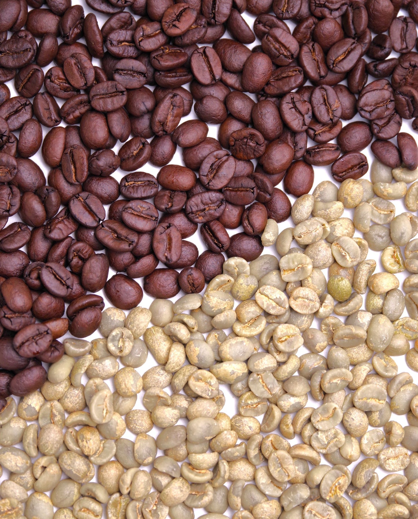 【量り売り】ブラジル中煎　一〇〇グラム